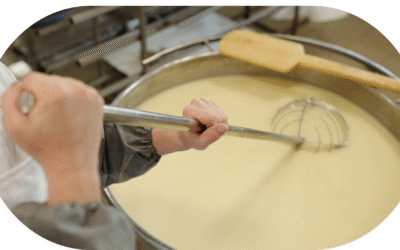 Jak zrobić smażony ser w domu?